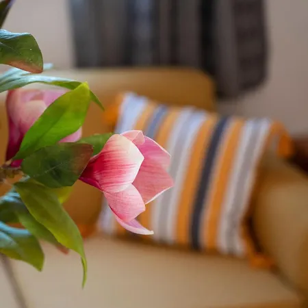 Casa de Férias Ibiscus In Paradisi Near The