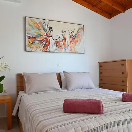 Ibiscus In Paradisi Near The * Paradeísion