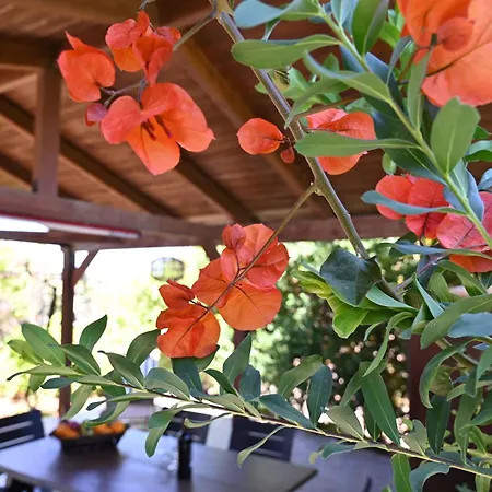 בית נופש Ibiscus In Paradisi Near The