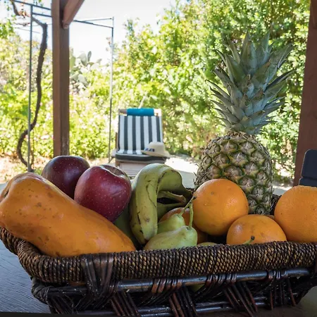 Ibiscus In Paradisi Near The בית נופש