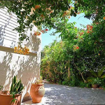 Ibiscus In Paradisi Near The