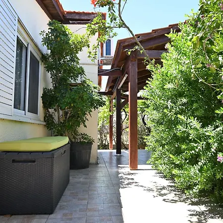 Ibiscus In Paradisi Near The Paradeísion