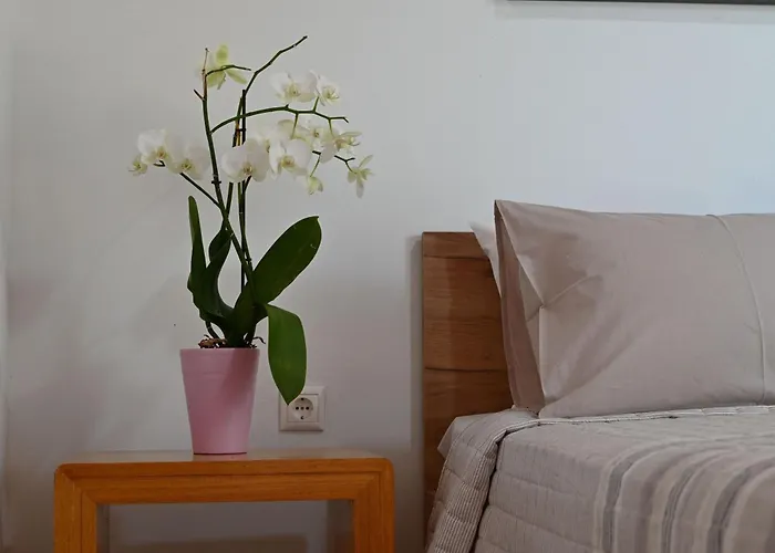 Ibiscus In Paradisi Near The بيت للعطل باراديسيون