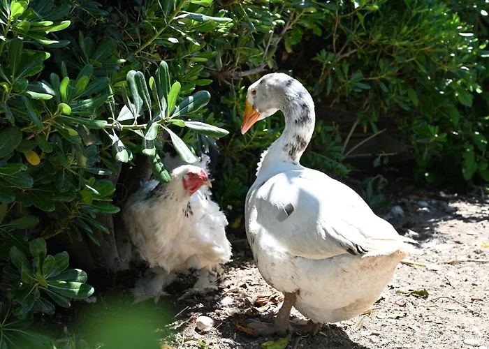 بيت للعطل Ibiscus In Paradisi Near The *