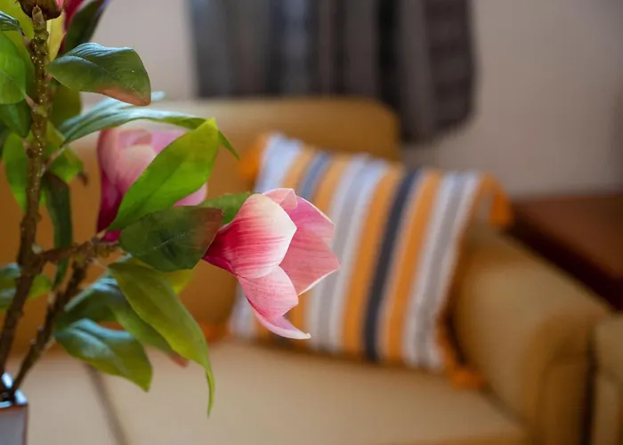 Casa vacanze Ibiscus In Paradisi Near The