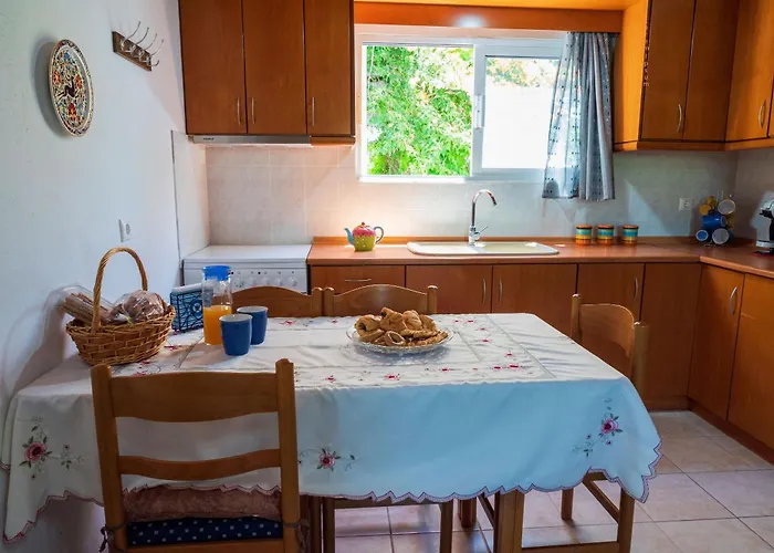 Ibiscus In Paradisi Near The *