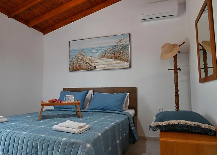 Ibiscus In Paradisi Near The *