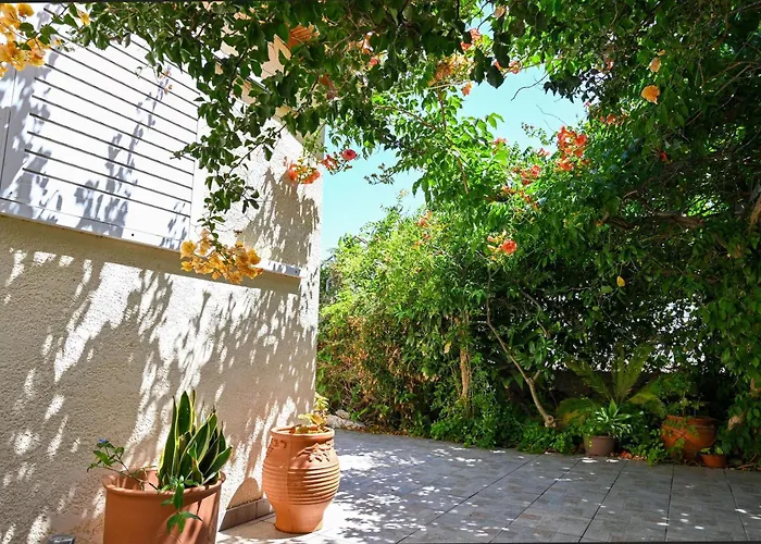 Ibiscus In Paradisi Near The