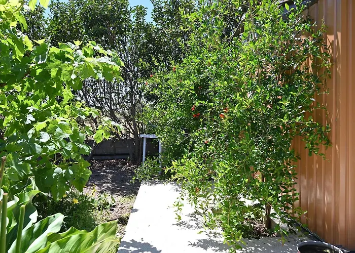 Ibiscus In Paradisi Near The * باراديسيون