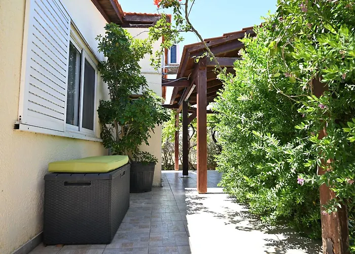 Ibiscus In Paradisi Near The باراديسيون