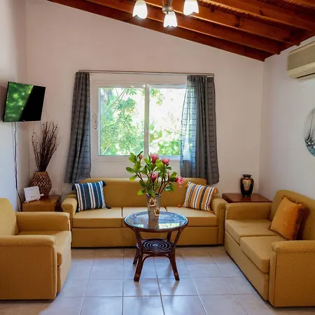 Ibiscus In Paradisi Near The * Paradeísion