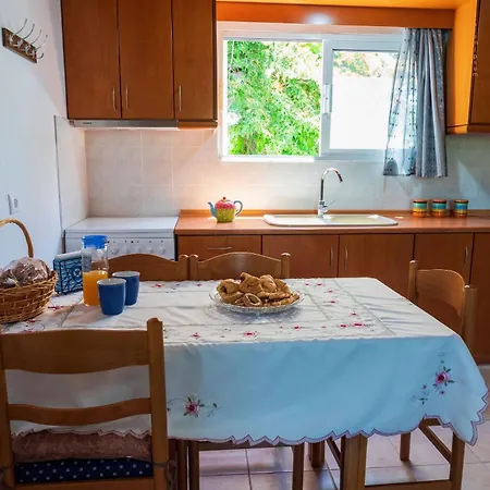 Ibiscus In Paradisi Near The *