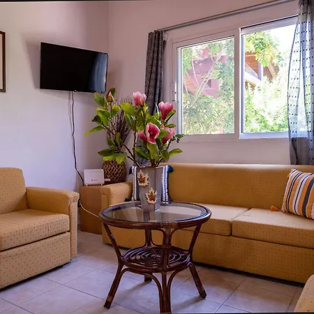 Ibiscus In Paradisi Near The Paradeísion