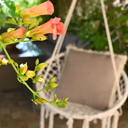 Semesterbostad Ibiscus In Paradisi Near The Paradeísion