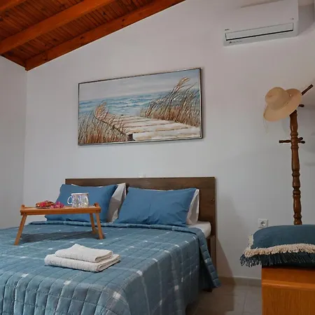 Ibiscus In Paradisi Near The *