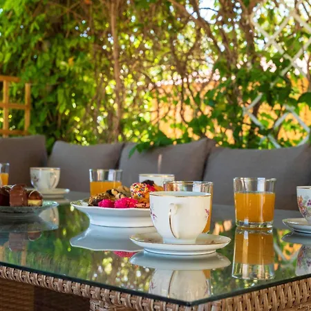 Ibiscus In Paradisi Near The