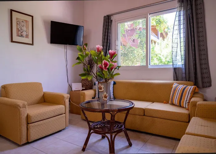 Ibiscus In Paradisi Near The Paradeísion