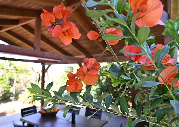 Casa vacanze Ibiscus In Paradisi Near The