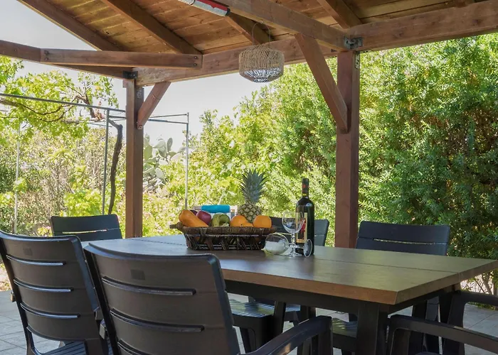 Ibiscus In Paradisi Near The Paradeísion