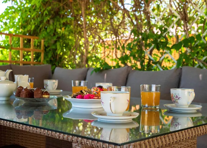 Ibiscus In Paradisi Near The